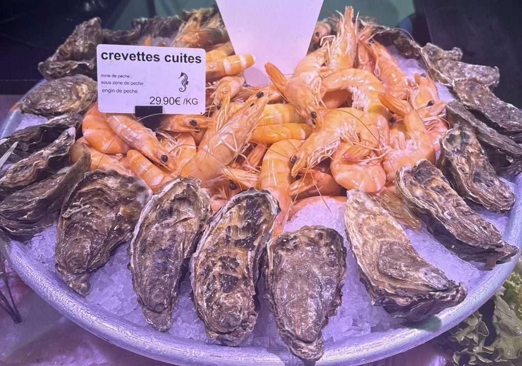 554982760 122102496975036706 7576089117367990664 n