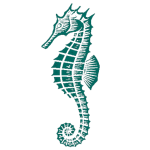 logo hippocampe v3